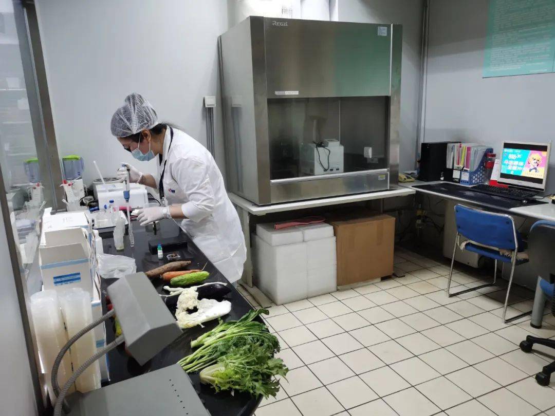 洛南食品检测实验室装修方案